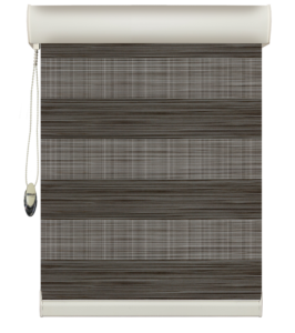 Zebra Blinds