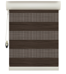 Zebra Blinds