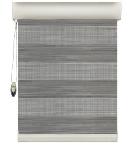 Zebra Blinds