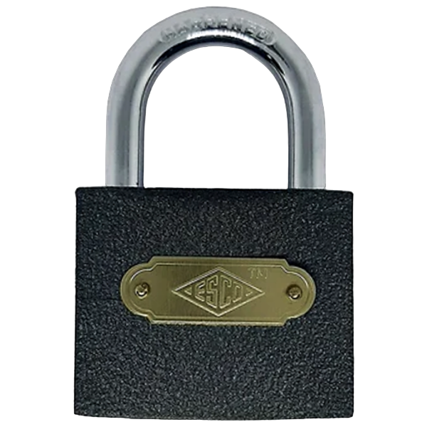 Esco Iron Padlock