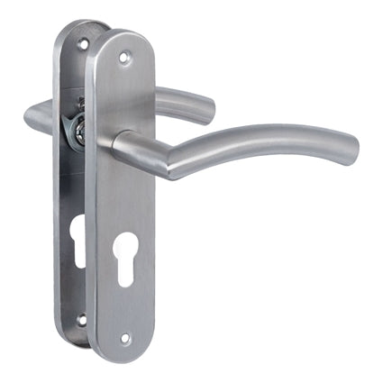 Curve Stainless Steel Handles on Back Plate with euro profile cylinder keyhole piercing
