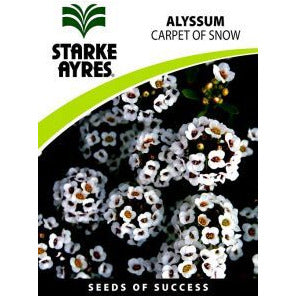 Starke Ayres Alyssum Flower Seeds - Al's Hardware