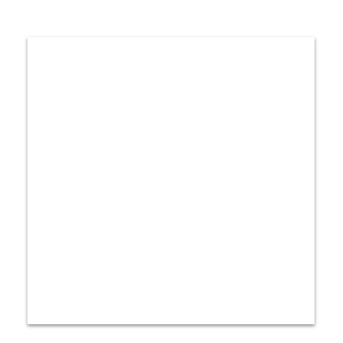 White Commercial 60x60 Ceramic Tile per m²