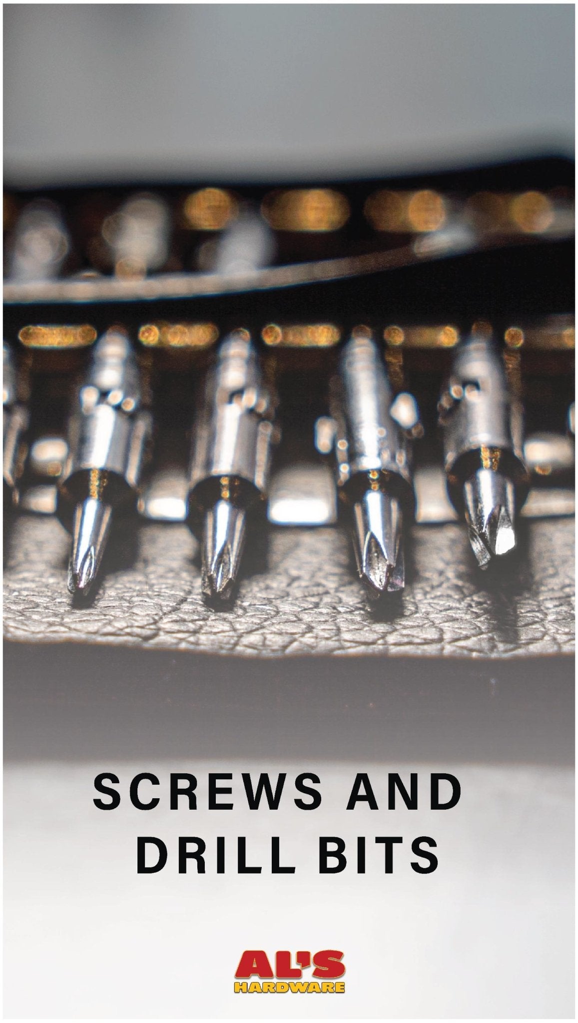 SCREWS AND DRILL BITS