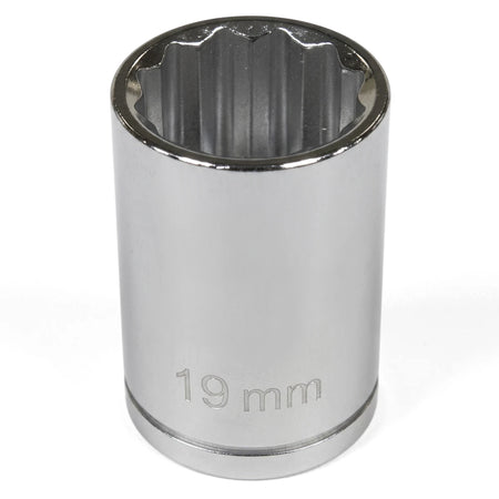 A shiny chrome 1/2-inch drive bi-hex 19mm socket, featuring a 12-point internal spline pattern and size engraving.