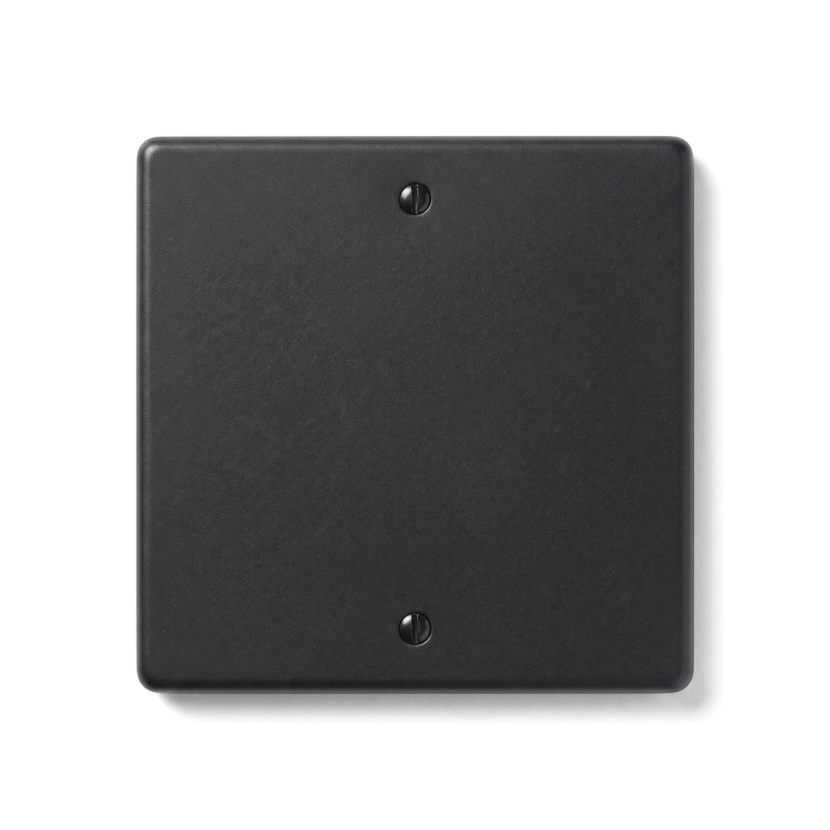 Matt black 100x100 blank cover plate made of steel, shown from a front view with two visible screws.