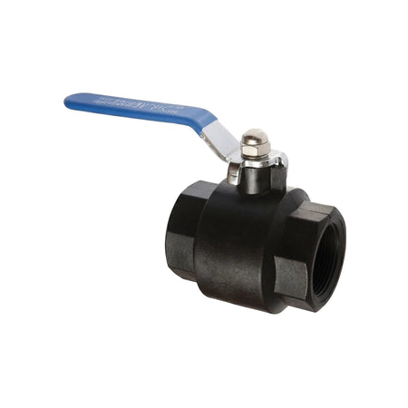 3/4 inch black nylon female x female lever ball valve with a blue handle, shown at a slight angle