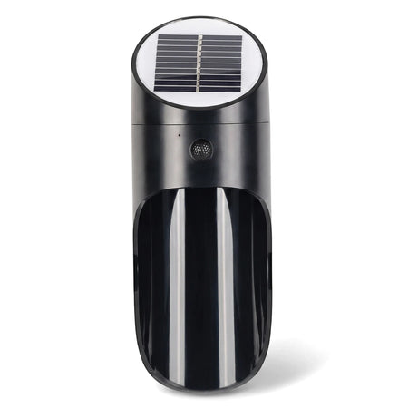 Black 1W outdoor solar LED light with motion sensor for wall mounting, shown from the front.