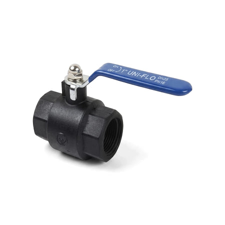 Black 1/2 inch nylon female x female lever ball valve with a blue handle and silver metal fittings, shown on a white