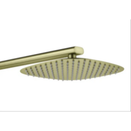 Brass oval shower head