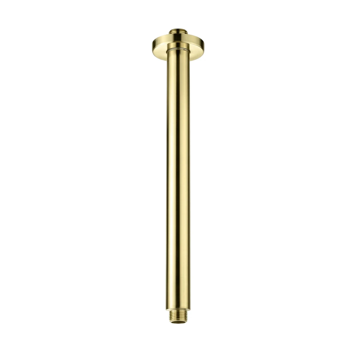 Brushed brass ceiling arm shower part with a cylindrical design and round base, shown vertically for overhead shower