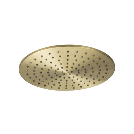 Brushed brass round shower head, 300x41mm (12 inches) with numerous holes, shown from an overhead perspective.