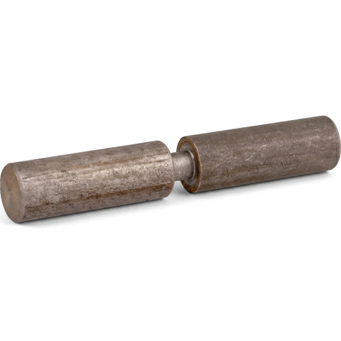 A single 120x30mm metallic bullet hinge, disassembled into two cylindrical parts, displaying a weathered industrial finish.