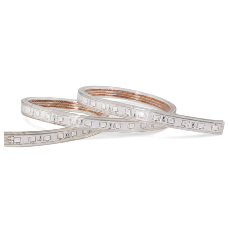 Coiled cool white SMD LED strip light with transparent casing and visible internal wiring, ideal for accent lighting.