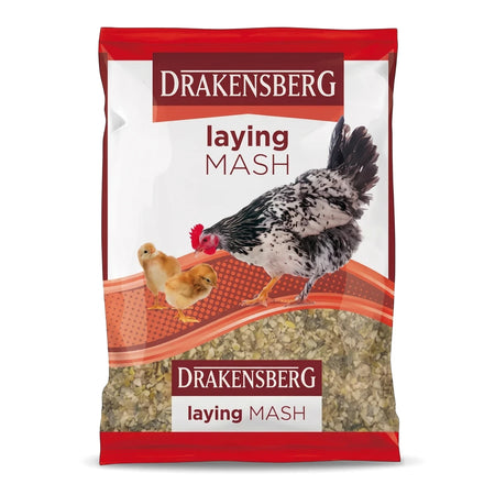 Drakensberg 5Kg Laying Mash bag, featuring a black and white chicken and two yellow chicks, used for poultry feed.