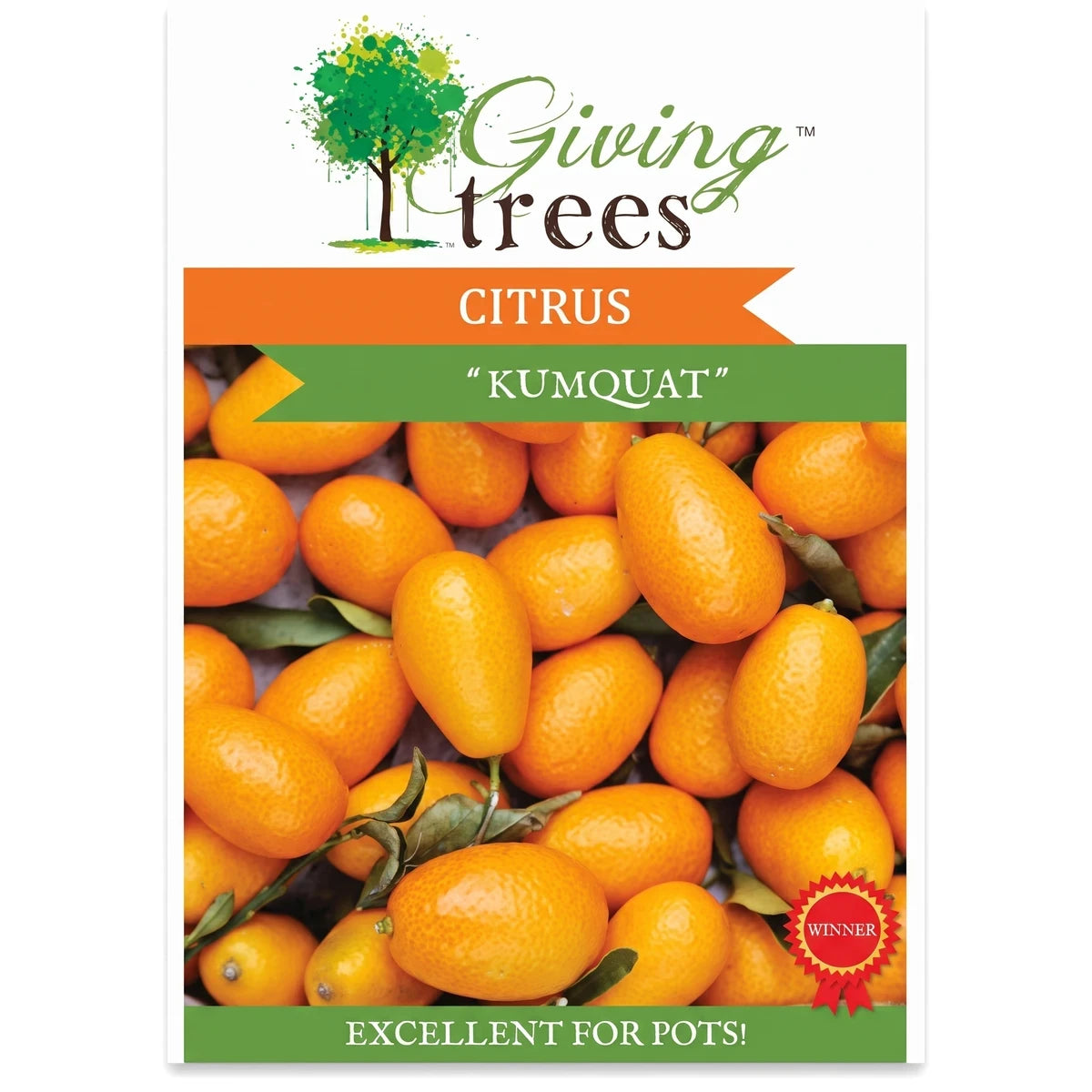 Dwarf Kumquat Tree seed packet showing numerous small, oval, orange kumquat fruits with green leaves, advertising 'Excellent