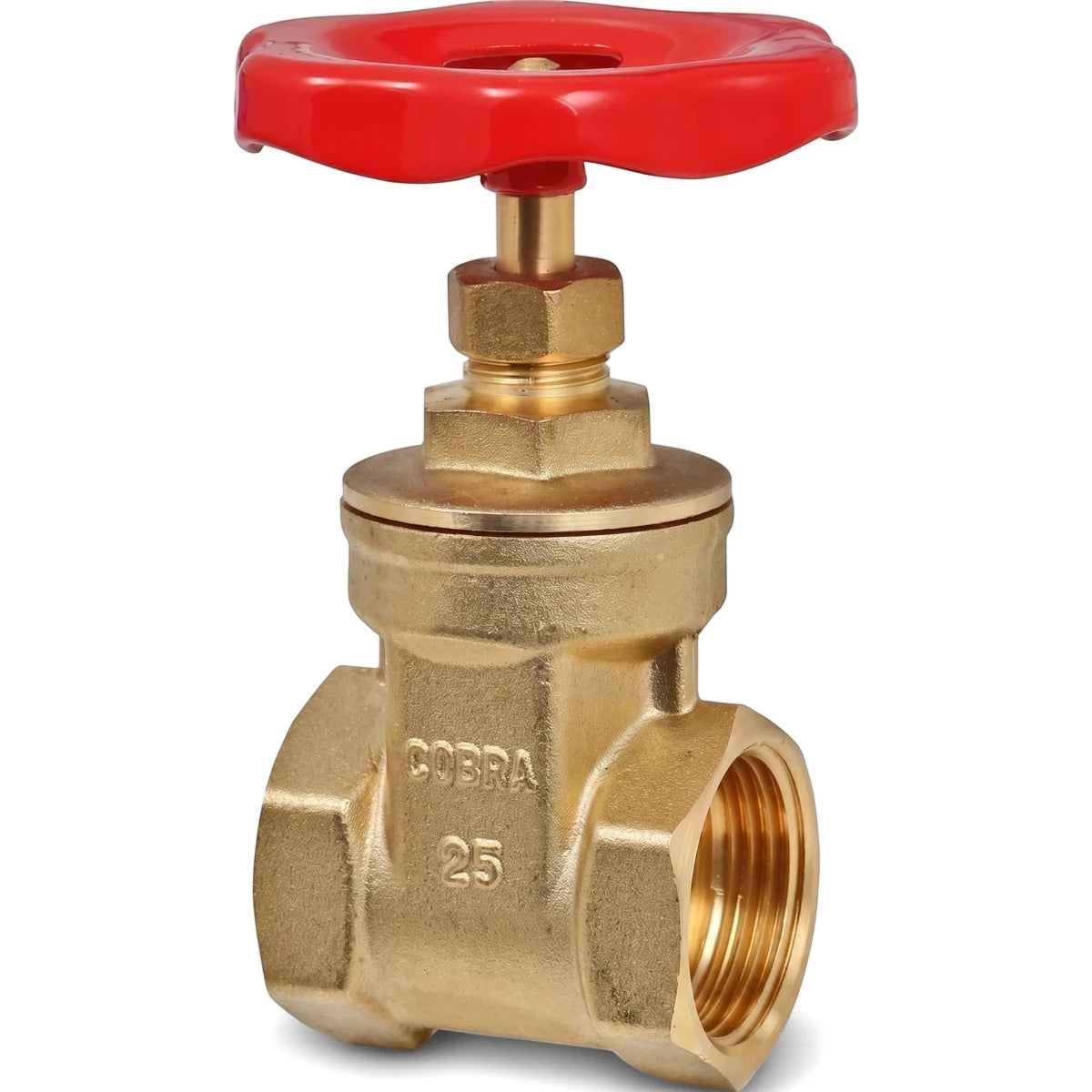 1-inch Female X Female Rough Brass Gate Valve with a prominent red wheel handle, shown upright.