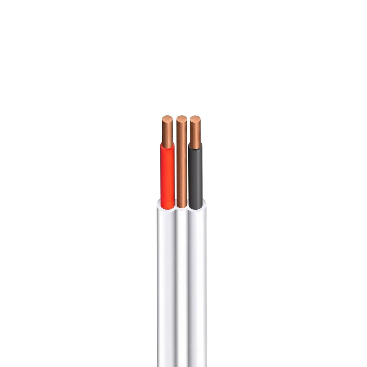 A close-up of a Flat Twin + Earth 2.5mm electrical cable with white outer insulation, showing red, brown, and black