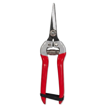 Close-up of closed flower pruning shears with sharp silver blades and ergonomic red handles, secured by a black band, for