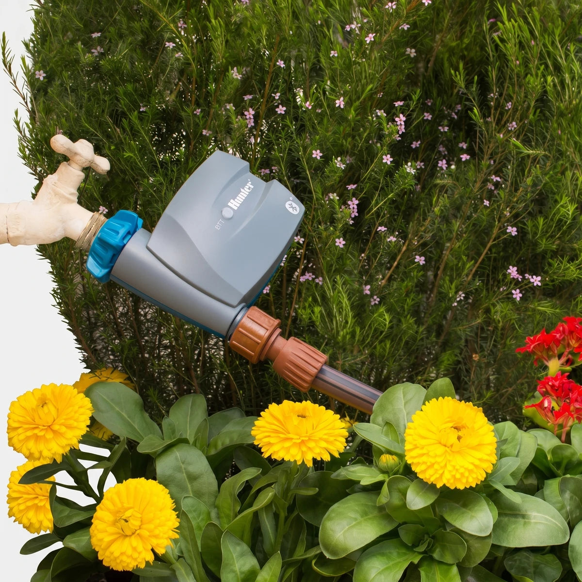 Gray Hunter BTT Bluetooth Tap Timer connected to a white garden faucet and hose, surrounded by vibrant garden plants.