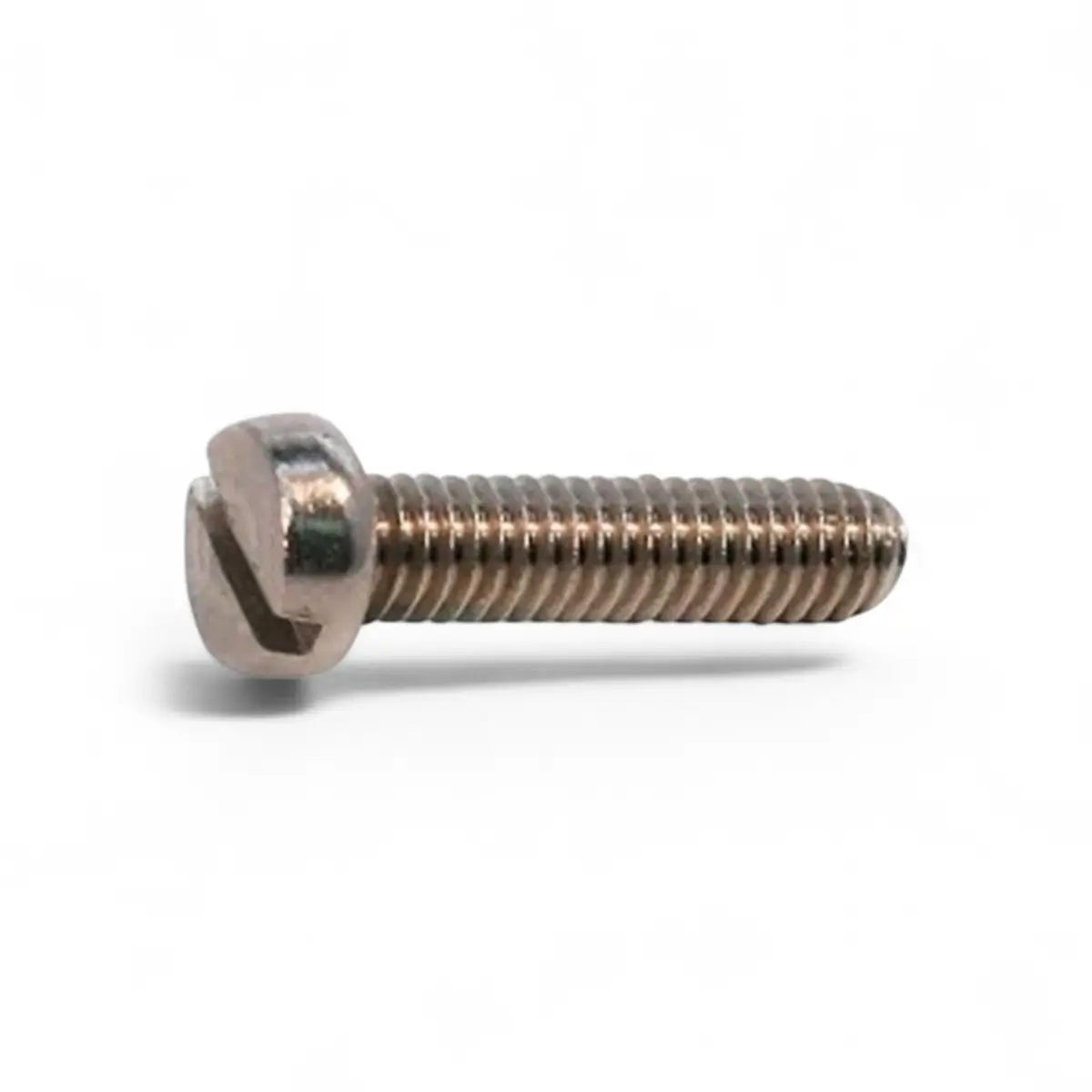 Stainless Steel Cheese Head Machine Screw (10-Pack)