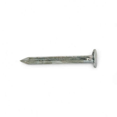 Galvanized Clout Nail - 25mm