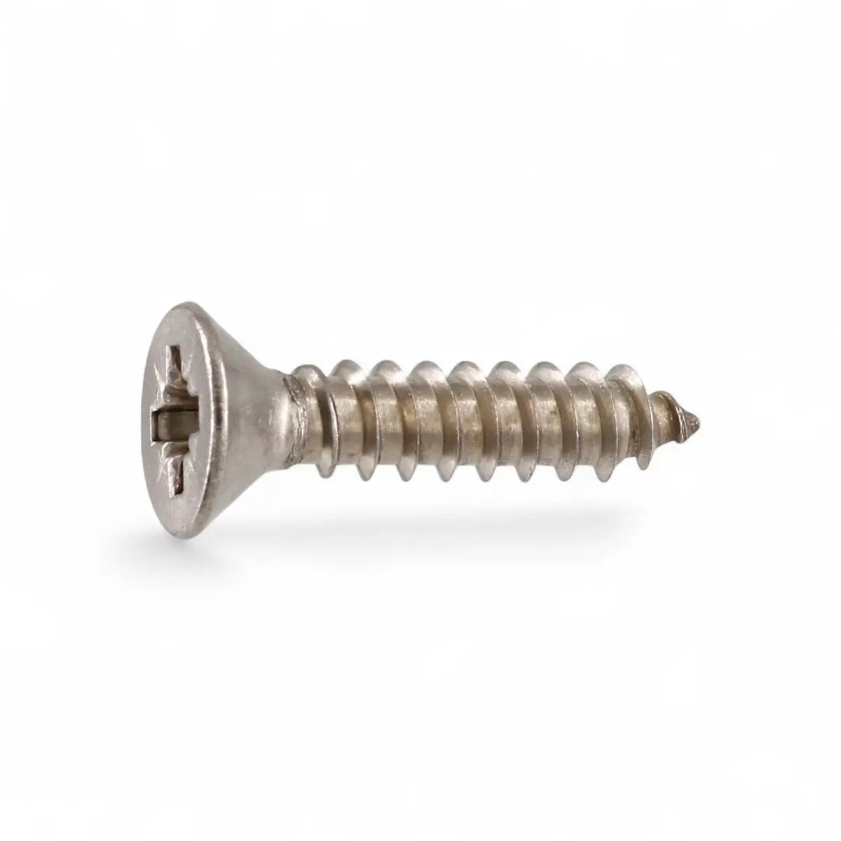 Stainless Steel Chipboard Screw (25-Pack)