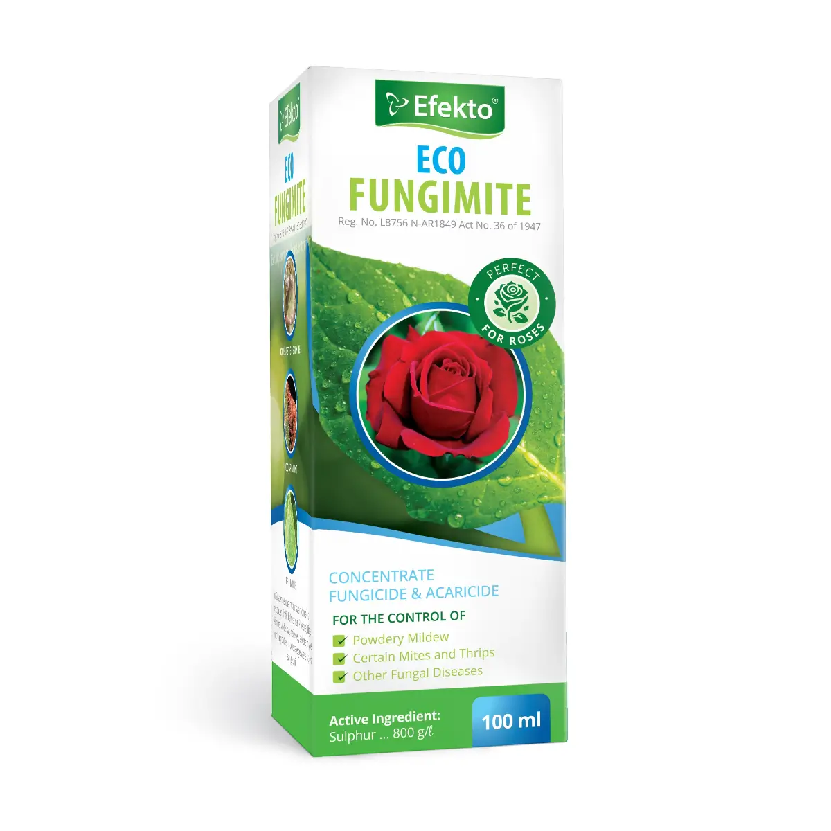 Efekto fungicide 100ml bottle