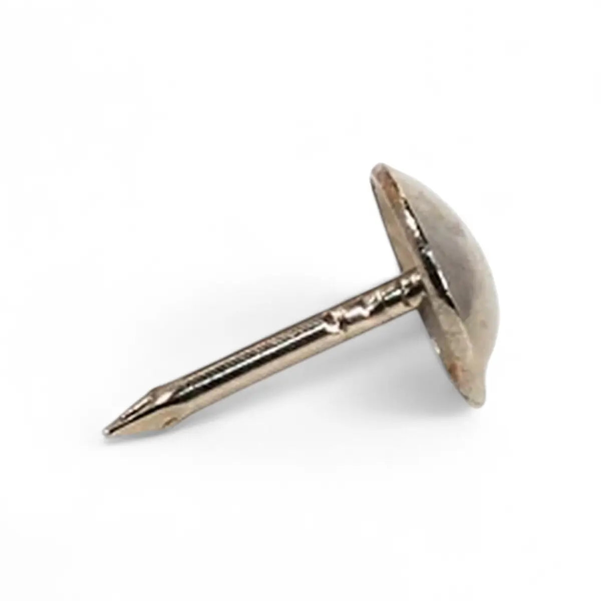 Coach Screw