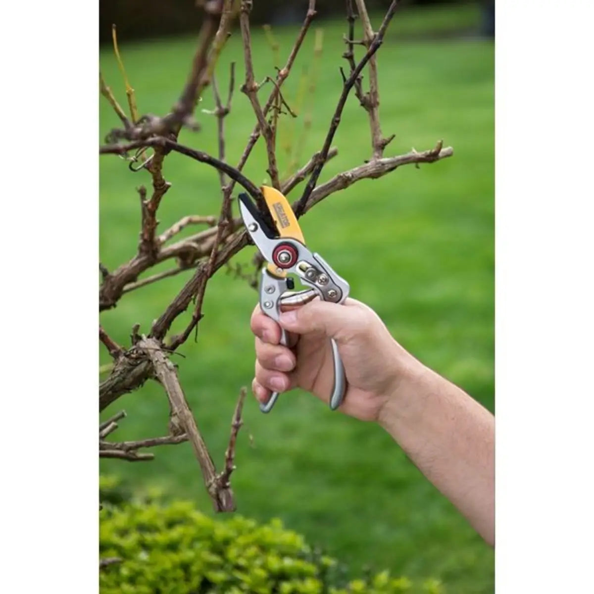 Titanium pruning shears
