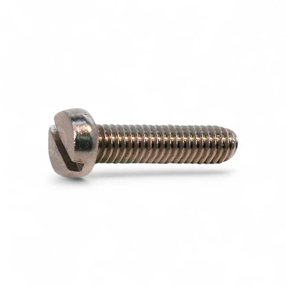 Stainless Steel Cheese Head Machine Screw (10-Pack)