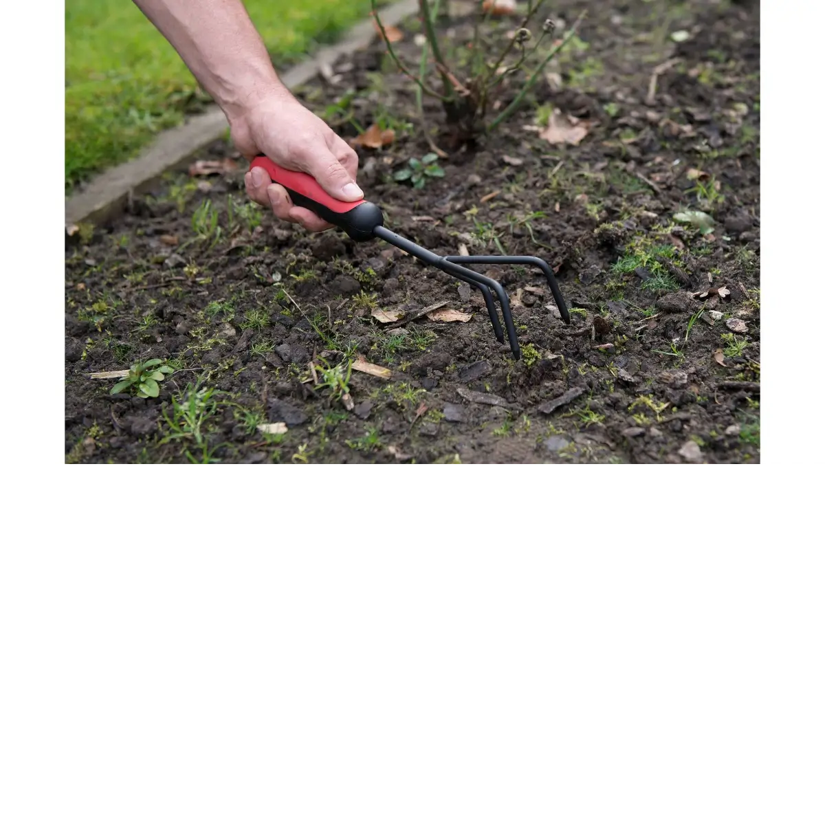 Three prong garden cultivator