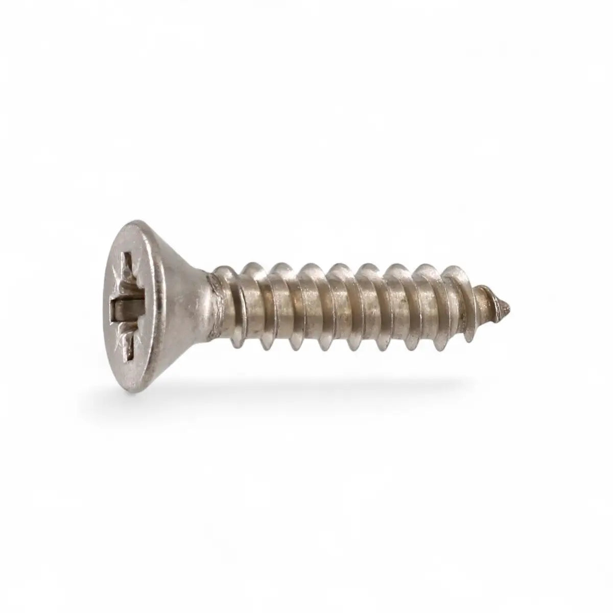 Stainless Steel Chipboard Screw (25-Pack)