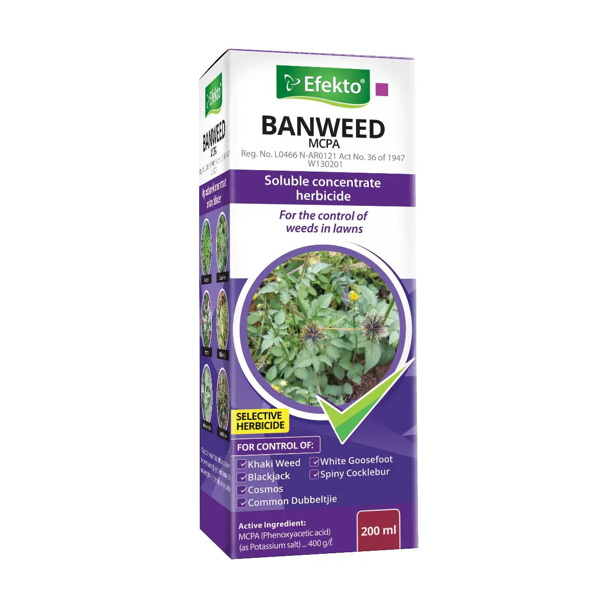 MCPA broadleaf weed herbicide
