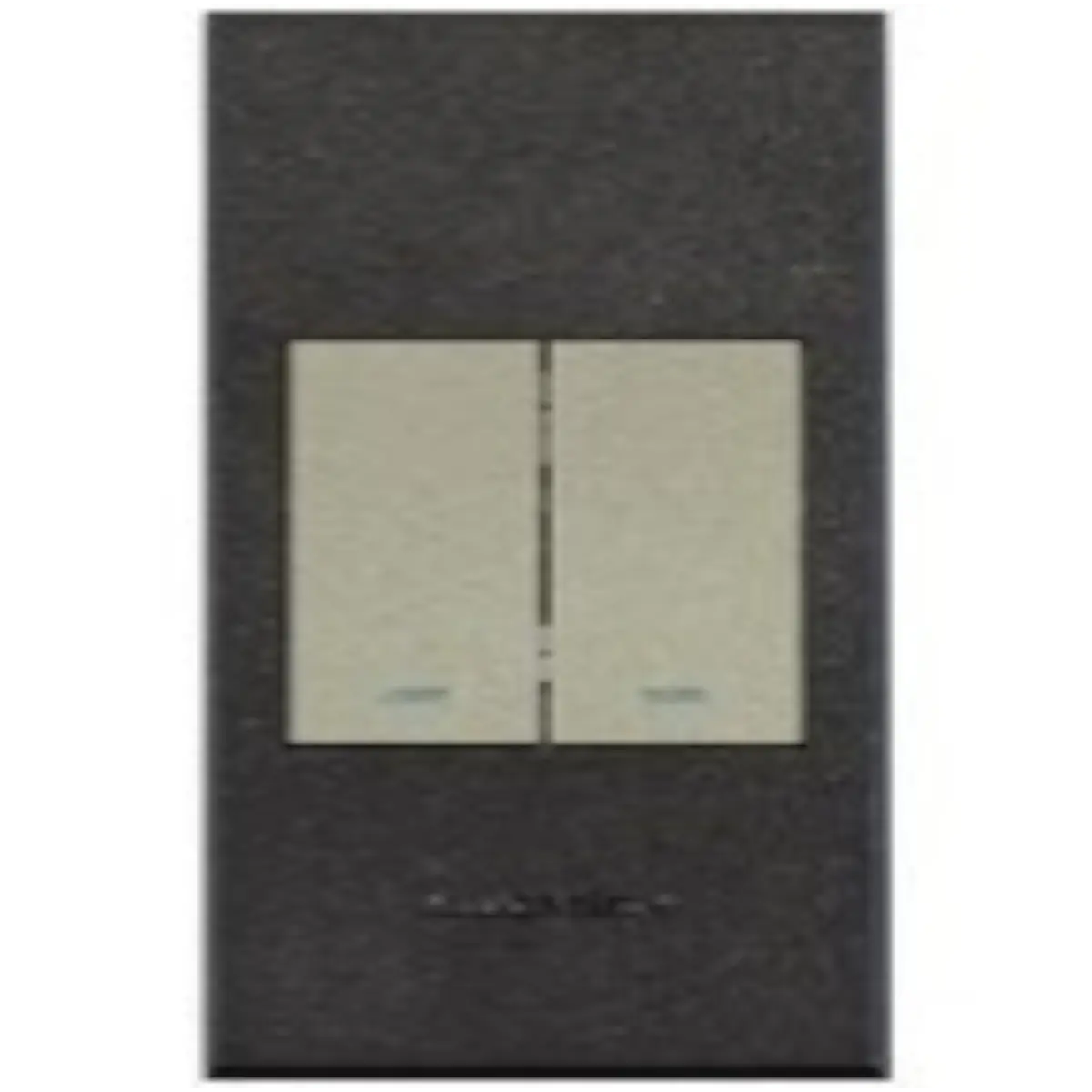 Two lever light switch