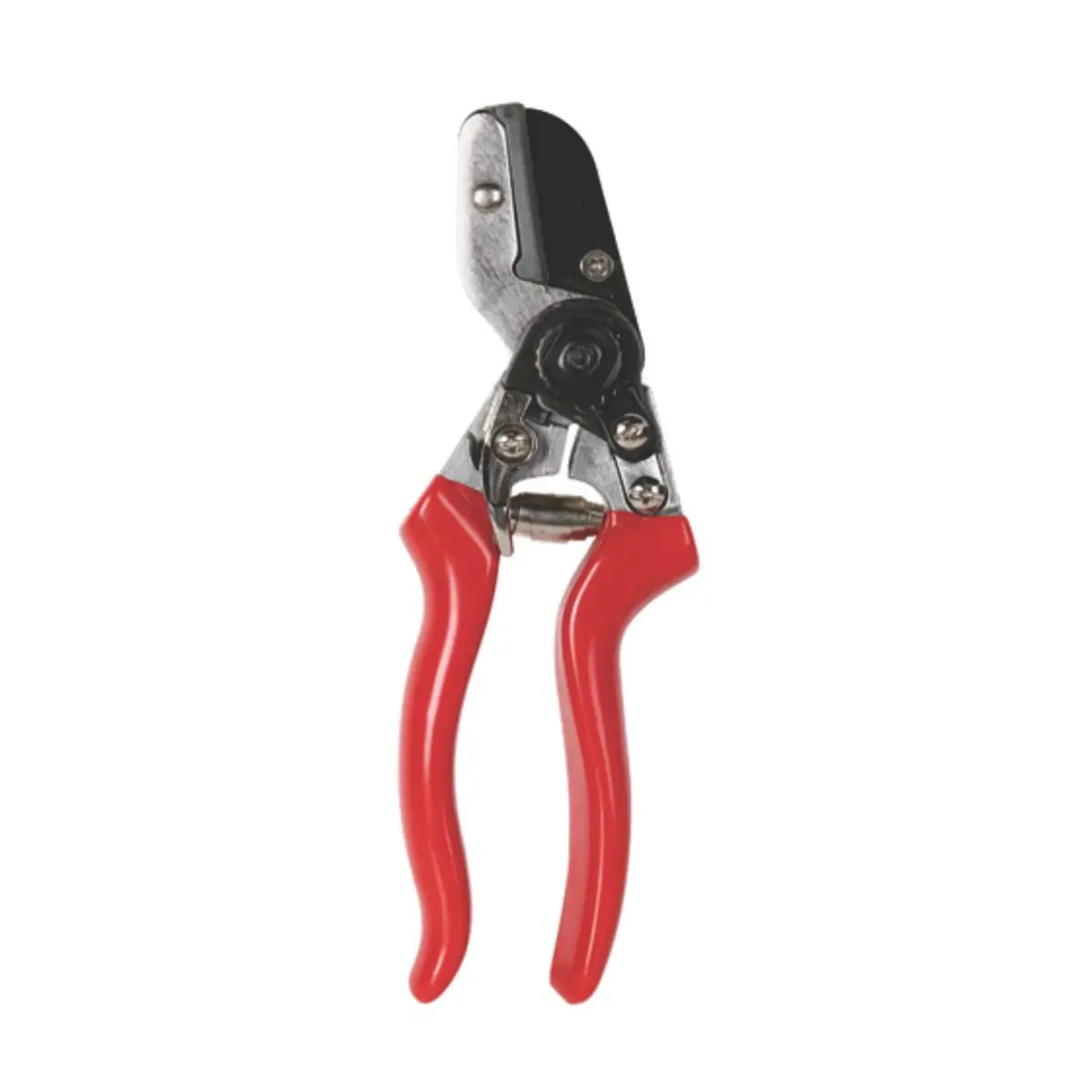 Anvil pruning shears closeup