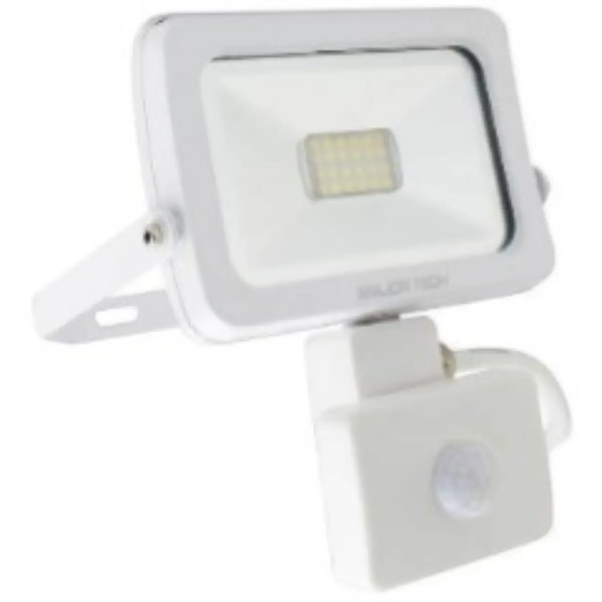 10W LED PIR floodlight