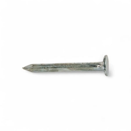 Galvanized Clout Nail - 25mm