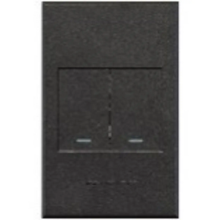 Two lever light switch