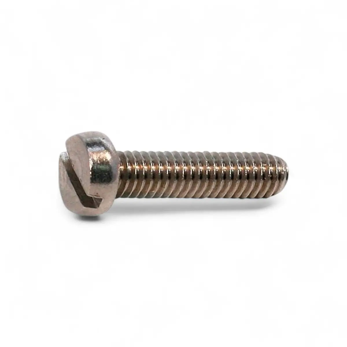 Stainless Steel Cheese Head Machine Screw (10-Pack)