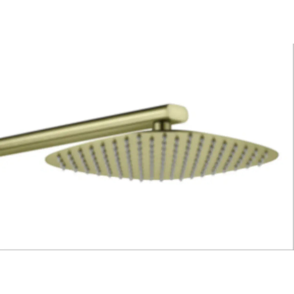 Oval shower head with arm
