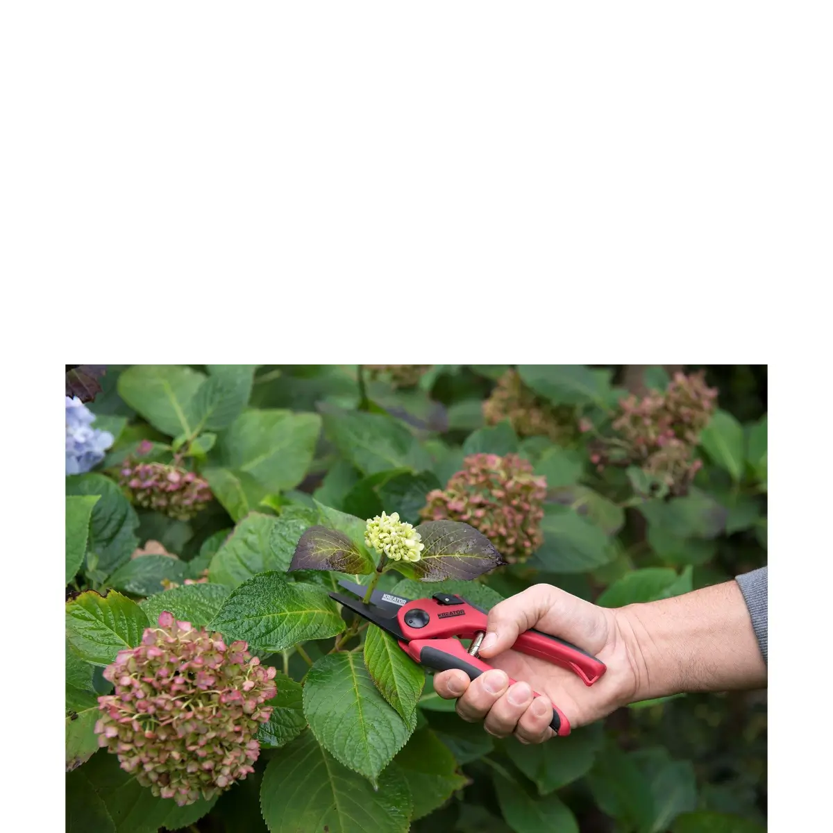 Carbon steel straight pruner