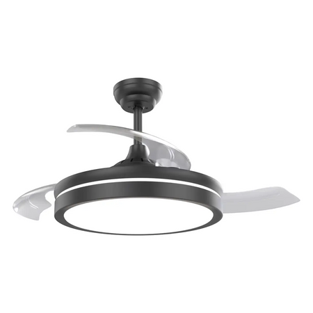 Black ceiling fan with light