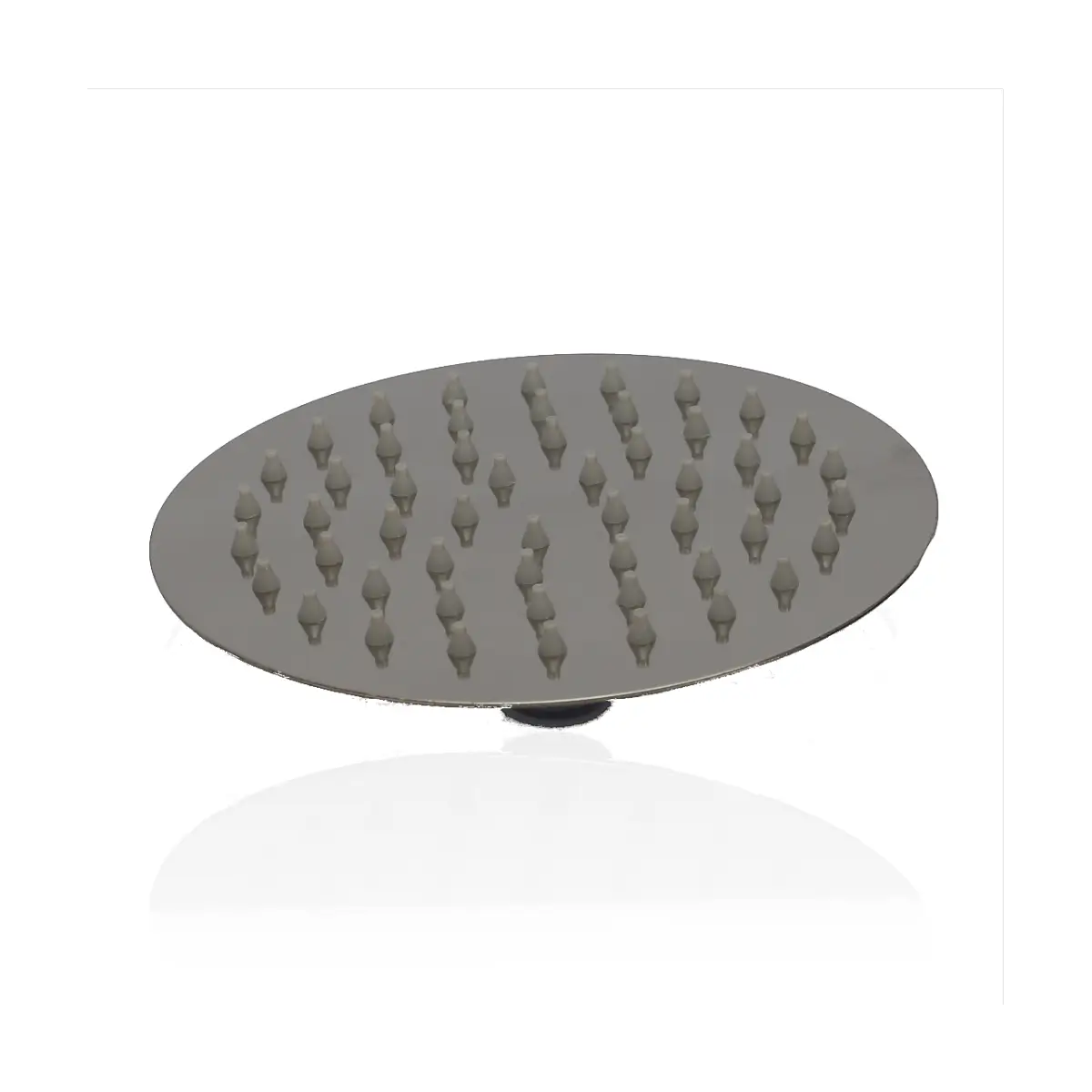 Chrome plated shower rose