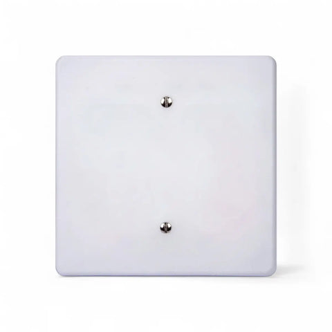 Lesco Blank Cover 100X100Mm S/Steel Blank Cover Plate