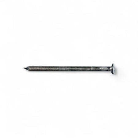 Round Wire Nail (100G Pack)