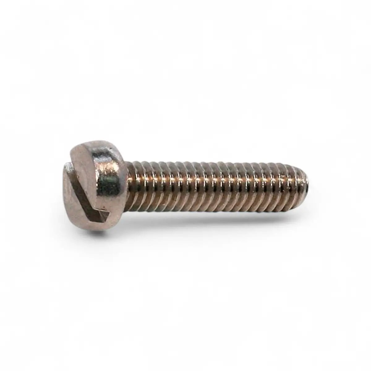 Stainless Steel Cheese Head Machine Screw (10-Pack)