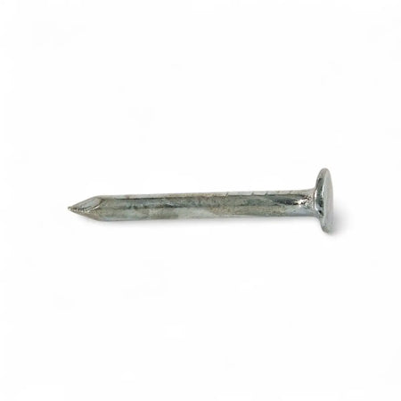 Galvanized Clout Nail - 32mm
