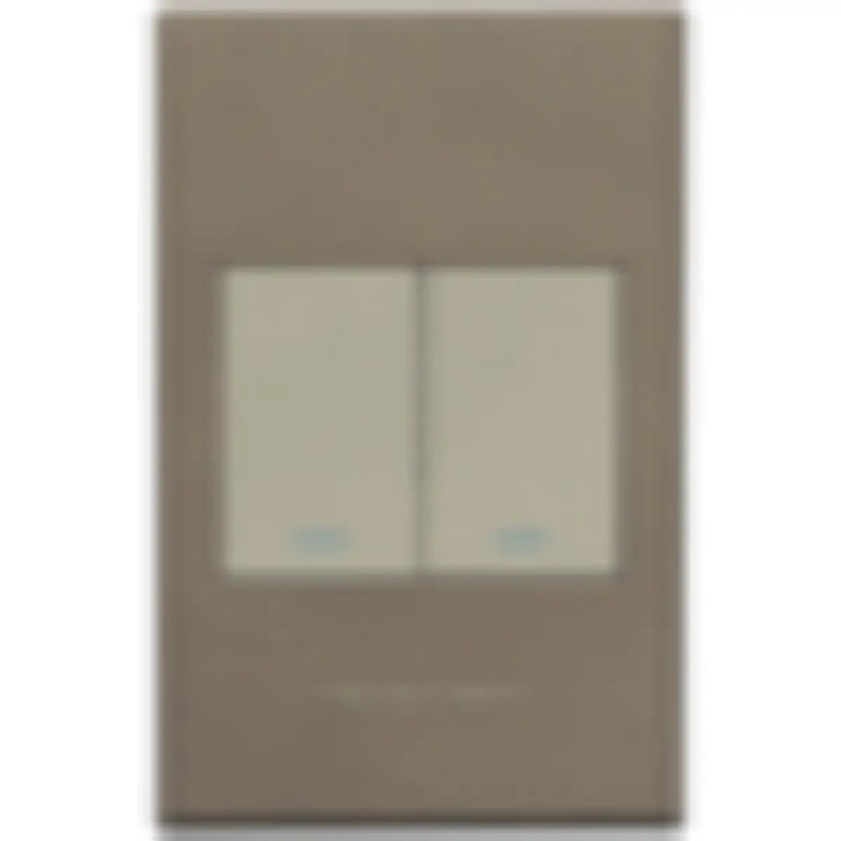 Two lever light switch