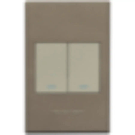 Two lever light switch